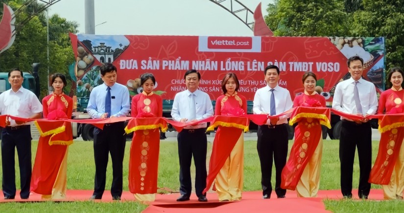 Bộ trưởng C&ocirc;ng Thương Nguyễn Hồng Di&ecirc;n v&agrave; Bộ trưởng NN&amp;amp;amp;PTNT L&ecirc; Minh Hoan c&ugrave;ng c&aacute;c l&atilde;nh đạo tỉnh, c&aacute;c đơn vị li&ecirc;n quan cắt băng khởi động Chương tr&igrave;nh đưa Nh&atilde;n lồng Hưng Y&ecirc;n l&ecirc;n s&agrave;n 555win phien bạn Chính Thức điện tử năm 2022.
