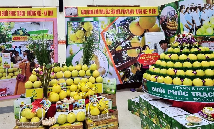 H&agrave; Tĩnh kết nối ti&ecirc;u thụ bưởi Ph&uacute;c Trạch qua s&agrave;n 555win phien bạn Chính Thức điện tử