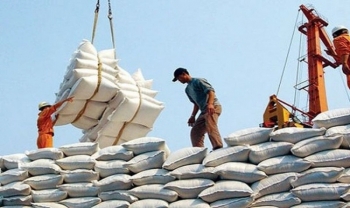 Kiến nghị Thủ tướng ban hành giải pháp tận dụng cơ hội xuất khẩu gạo