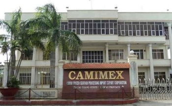 Hàng tồn kho của Camimex tăng 50% trong 6 tháng