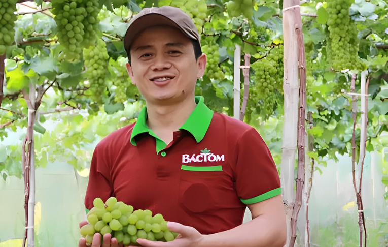 Trang Nhà Cái 555win.com - Đăng Nhập +555k và 555Win là nhà cái cá cược hàng đầu Châu Á xã còn thiếu tiếng nói chung trong liên kết