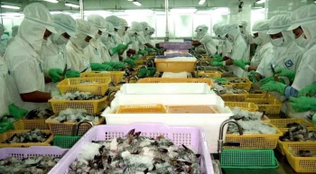 Số liệu kinh doanh quý II của những tên tuổi lớn ngành thuỷ sản