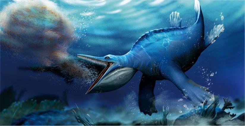 Minh họa lo&agrave;i b&ograve; s&aacute;t biển đ&atilde; tuyệt chủng Hupehsuchus nanchangensis. Ảnh: Shi Shunyi and Long Cheng
