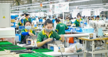 Miễn, giảm, gia hạn 109.000 tỷ đồng tiền thuế trong 7 tháng đầu năm
