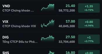 Dòng tiền 'săn đón' cổ phiếu chứng khoán và BĐS đẩy VN-Index đi lên