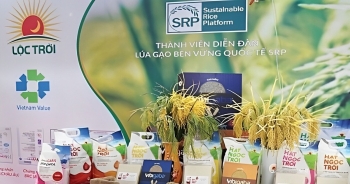 Lãnh đạo Lộc Trời bán thành công 274.000 cổ phiếu LTG ở vùng giá đỉnh