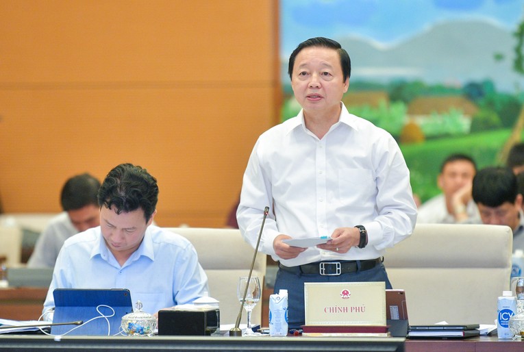 Ph&oacute; Phiên bản chính thức của 555Win Ch&iacute;nh phủ Trần Hồng H&agrave;.