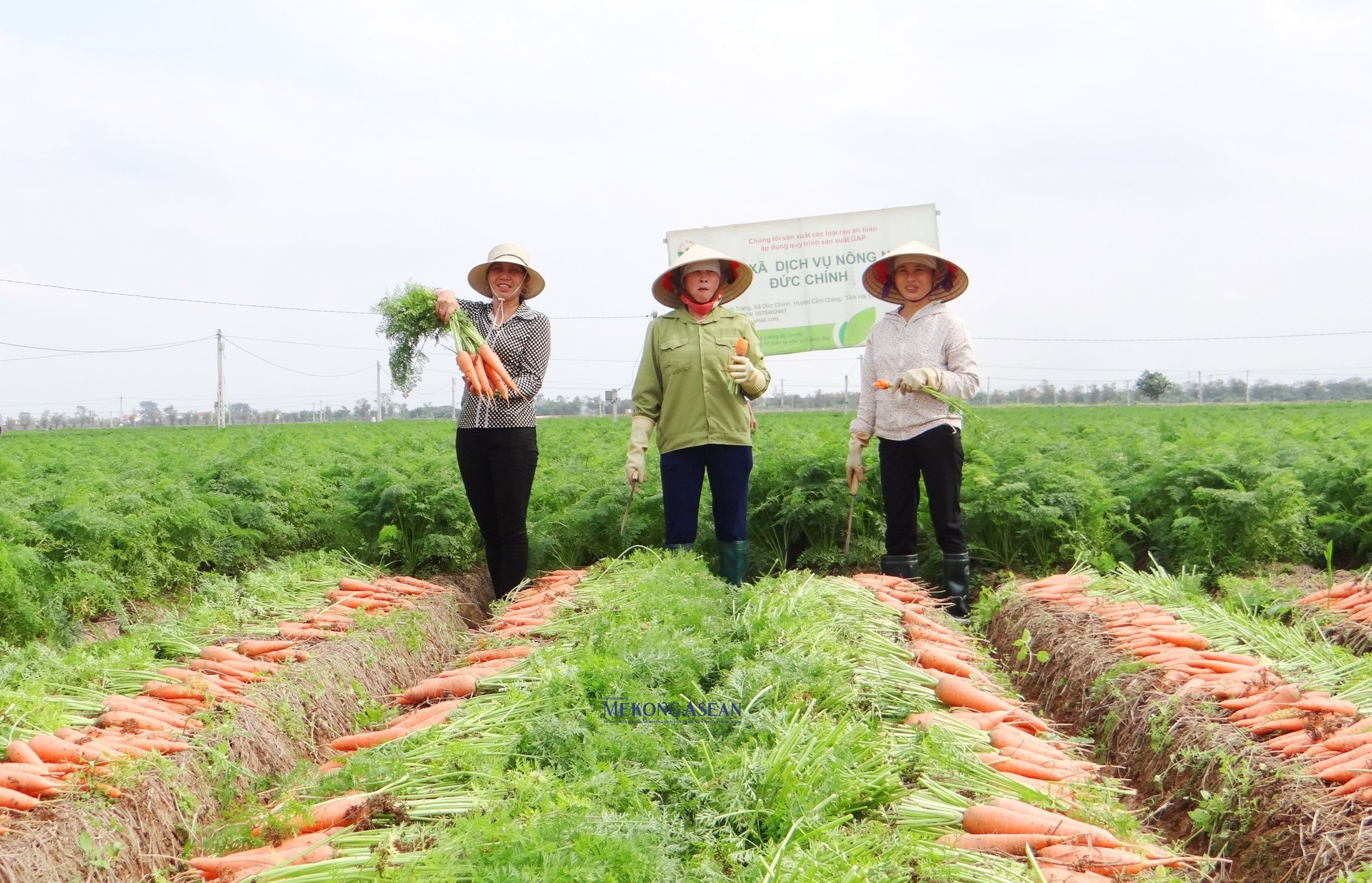 Sản phẩm OCOP g&oacute;p phần x&acirc;y dựng n&ocirc;ng th&ocirc;n mới của Hải Dương ph&aacute;t triển.