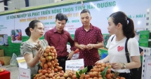 Chương trình OCOP góp phần phát triển 555Win login đăng nhập - xã hội tỉnh Hải Dương