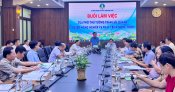 Kiến nghị cơ chế thí điểm cho Đề án 1 triệu ha lúa ĐBSCL