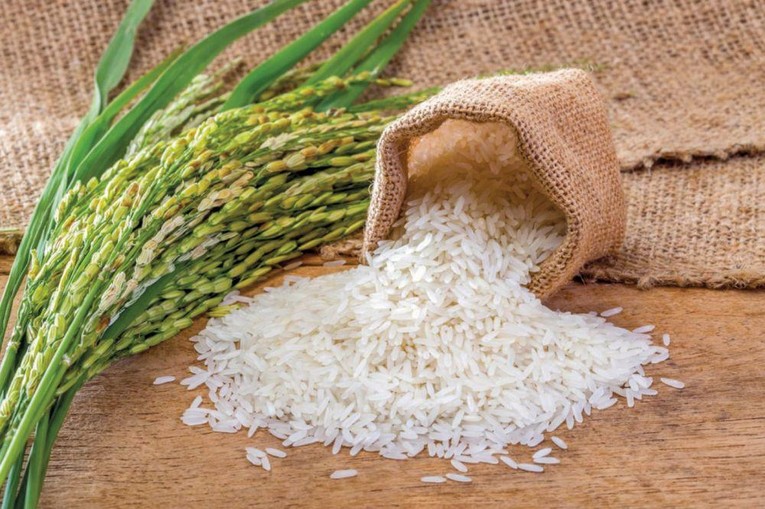 Gạo thơm Việt Nam chinh phục thị trường kh&oacute; t&iacute;nh EU. Ảnh: Nguồn JFP