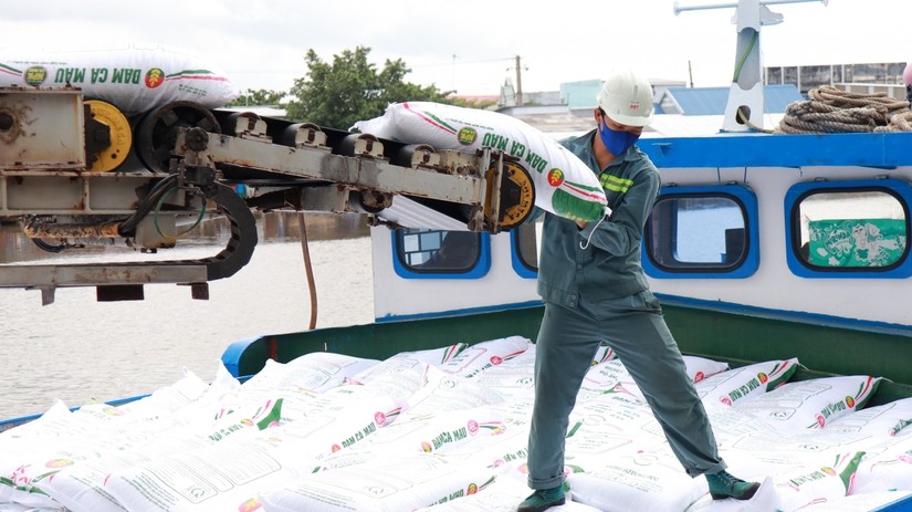 C&aacute;c Trang Nhà Cái 555win.com - Đăng Nhập +555k ph&acirc;n b&oacute;n đ&atilde; đạt lợi nhuận kỷ lục trong 6 th&aacute;ng đầu năm. Ảnh: Đạm C&agrave; Mau