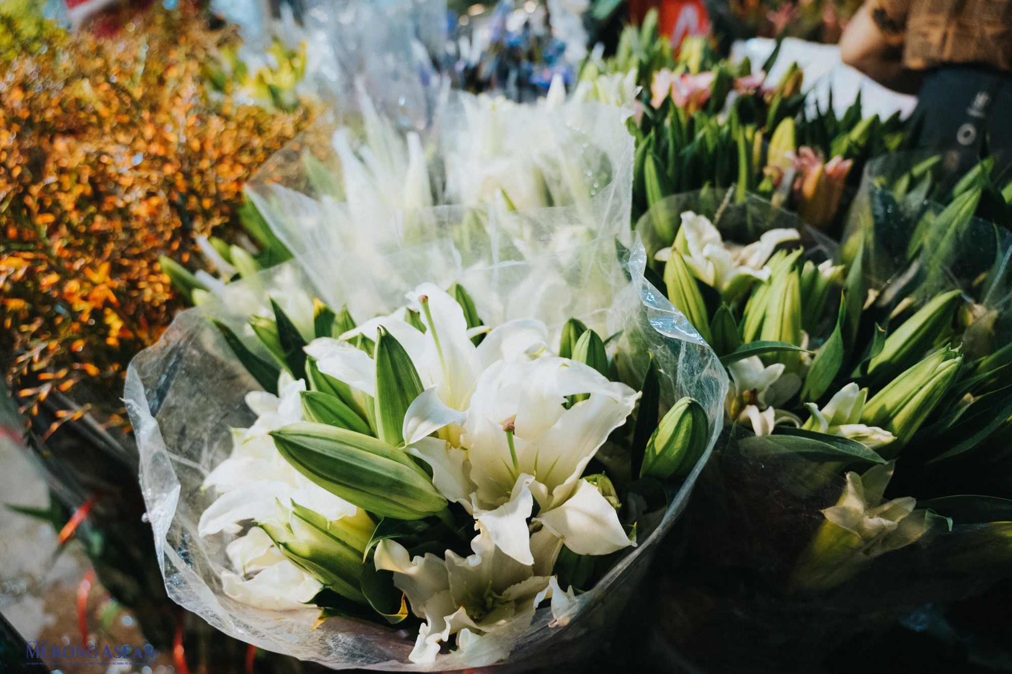 Loa k&egrave;n l&agrave; một trong những lo&agrave;i hoa y&ecirc;u th&iacute;ch v&agrave;o độ chớm thu v&igrave; m&ugrave;i hương nh&egrave; nhẹ cũng như t&iacute;nh đặc trưng của m&ugrave;a.
