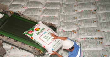 Đạm Cà Mau vượt chỉ tiêu xuất khẩu ure năm 2023 chỉ trong 8 tháng