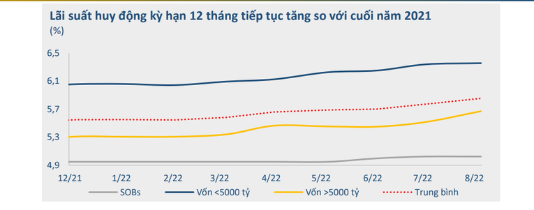 BVSC: VND đã giảm 4,34% so với USD, áp lực thời gian tới sẽ không quá lớn