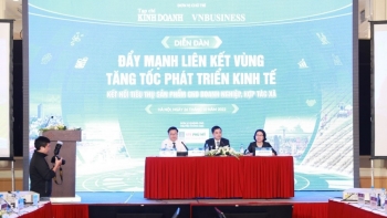 Liên kết doanh nghiệp - HTX đang ‘mạnh ai nấy làm’ vì thiếu 'tư lệnh'