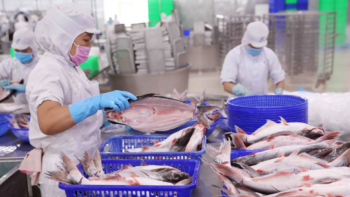 Nắm bắt cơ hội từ nhịp điều chỉnh, VNDirect điểm tên 5 cổ phiếu tiềm năng