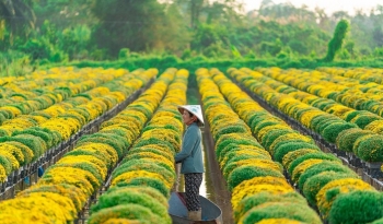 xay dung dong thap thanh tinh tien phong ve nong thon hien dai