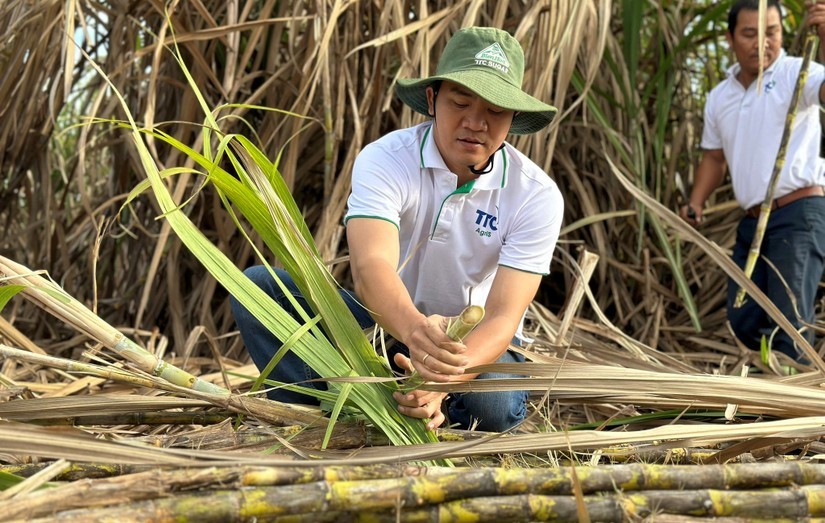 TTC AgriS đặt mục ti&ecirc;u tăng trưởng lợi nhuận trở lại sau năm &amp;amp;quot;đi l&ugrave;i&amp;amp;quot;.