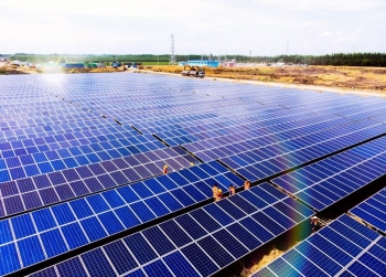 Bamboo Capital tái bảo lãnh khoản vay 100 tỷ đồng ở Công ty Nguyễn Hoàng