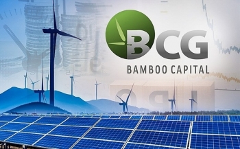 Người nhà lãnh đạo Bamboo Capital chỉ bán ra 80.000 trong 2 triệu cổ phiếu đăng ký