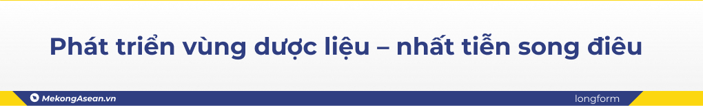 Câu chuyện đi tiên phong để thành công trong ngành dược