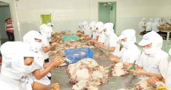 Nhật Bản là thị trường xuất khẩu hải sản lớn nhất của Việt Nam