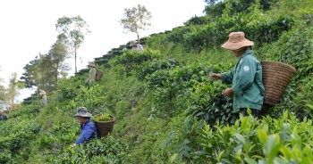 Nghệ An: Bố trí đất ở, đất sản xuất cho đồng bào dân tộc thiểu số