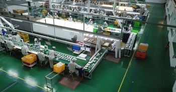 Hai yếu tố giúp lợi nhuận Bóng đèn Phích nước Rạng Đông 'phát sáng'