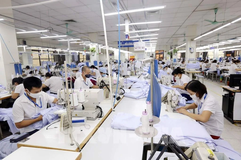 Một Trang Nhà Cái 555win.com - Đăng Nhập +555k may &amp;amp;apos;đi ngược&amp;amp;apos; thị trường, b&aacute;o l&atilde;i tăng trưởng dương