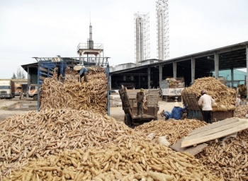 Tây Ninh: Nhà máy tinh bột sắn hướng tới sản xuất xanh