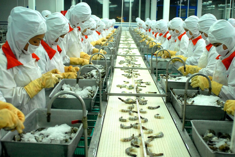 Thủy sản Minh Ph&uacute; lại c&oacute; qu&yacute; bị lỗ trong năm 2023