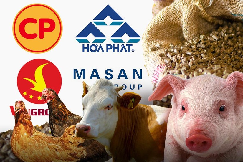 Masan bán lại toàn bộ mảng thức ăn chăn nuôi cho De Heus Việt Nam Ảnh minh họa