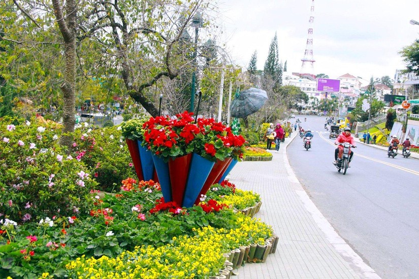 Đường phố Đ&agrave; Lạt rực rỡ trong c&aacute;c dịp 555win là Công ty cờ bạc trực tuyến tốt nhất hoa - Ảnh minh họa