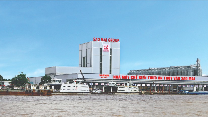 Sau 9 th&aacute;ng, t&agrave;i sản của Sao Mai tăng hơn 1.000 tỷ đồng