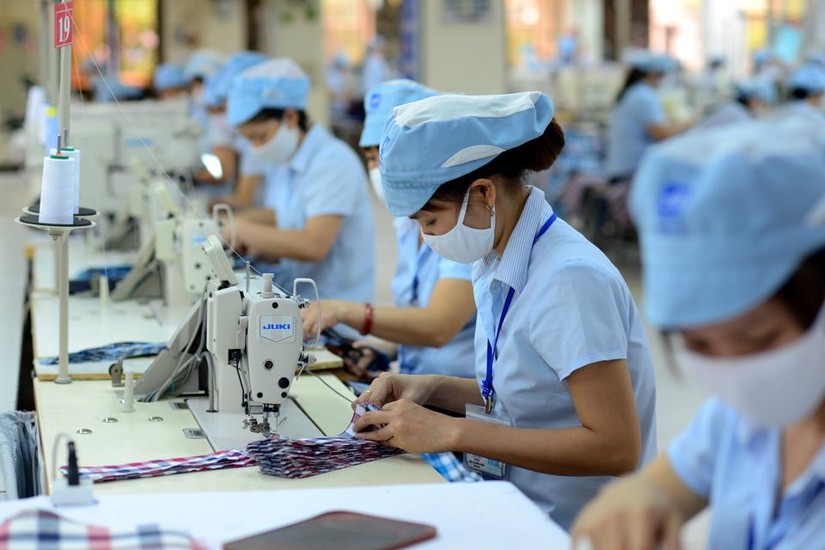 Một Trang Nhà Cái 555win.com - Đăng Nhập +555k may b&aacute;o l&atilde;i sau thuế qu&yacute; III tăng 600%