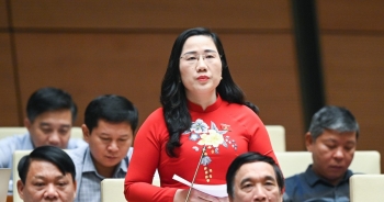 Đại biểu Quốc hội: 'Có đơn vị đi dự thầu chỉ để trượt'