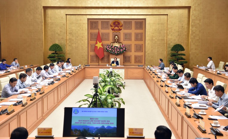 Đặt mục tiêu xuất khẩu lâm sản đạt 20 tỷ USD vào năm 2025