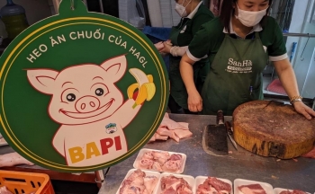 Giá heo tiếp tục giảm, Hoàng Anh Gia Lai vẫn lãi ròng 100 tỷ đồng tháng 10