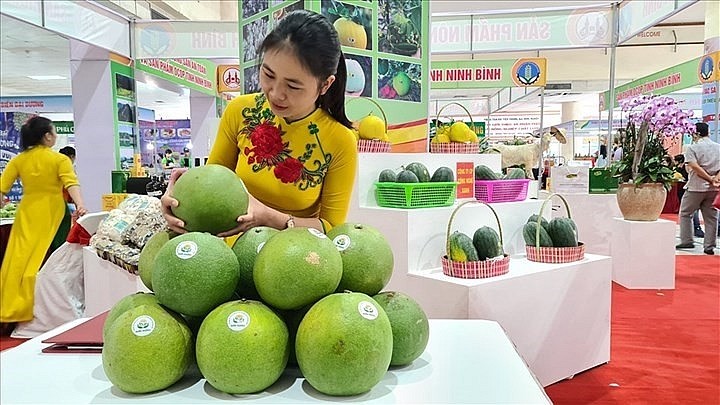 Ảnh minh họa Hội chợ Đặc sản V&ugrave;ng miền Việt Nam