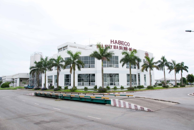 Nguồn: Habeco.