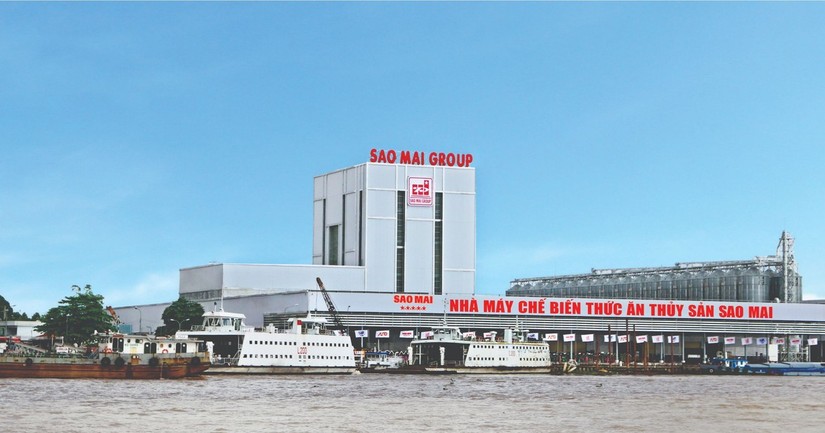 Doanh thu c&aacute; xuất khẩu của Sao Mai trong 9 th&aacute;ng đầu năm 2023 sụt giảm mạnh.