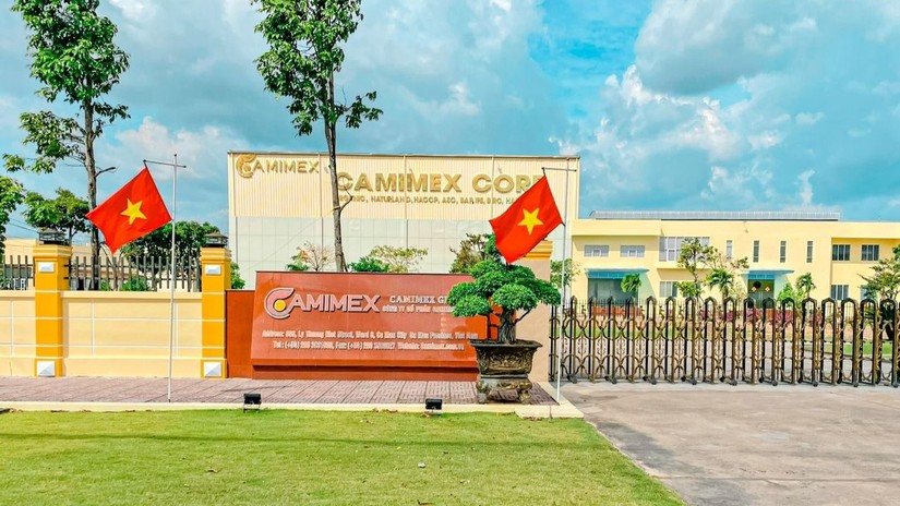 Thu về 204 tỷ đồng b&aacute;n tr&aacute;i phiếu, tổng nợ của CMX tăng hơn 38%