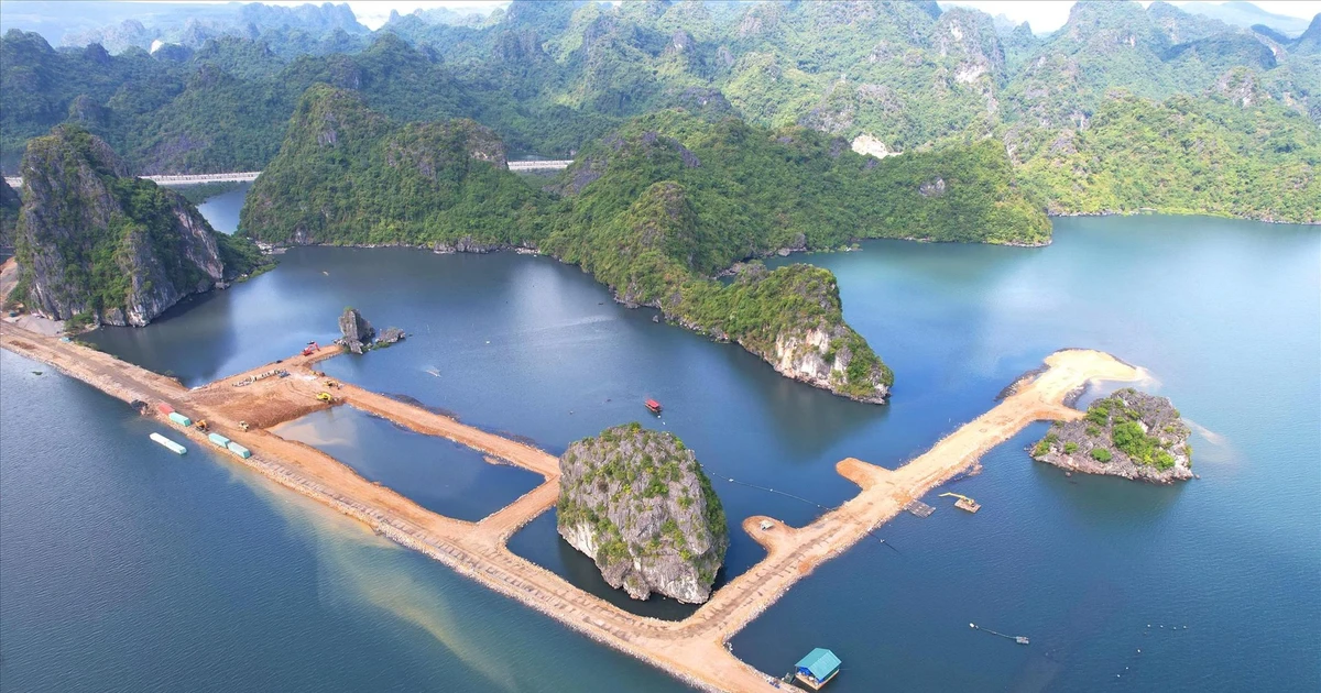 Chính phủ yêu cầu kiểm tra dự án lấn biển tại Quảng Ninh