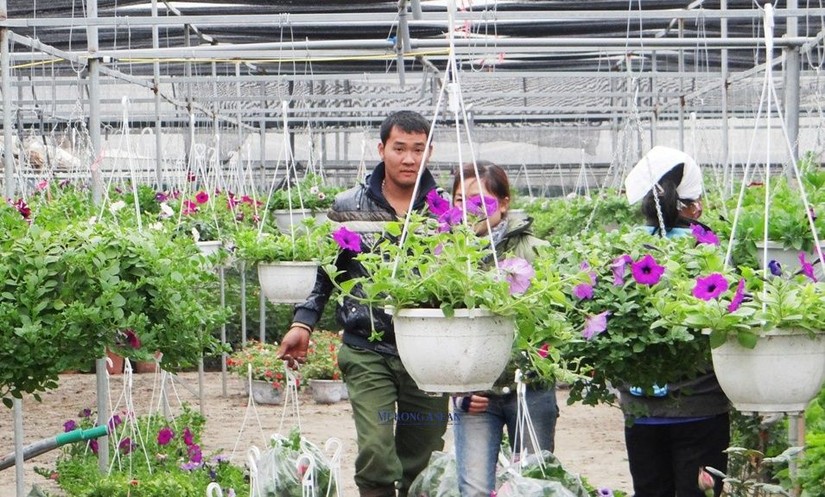 N&ocirc;ng nghiệp, n&ocirc;ng th&ocirc;n Hưng Y&ecirc;n khởi sắc