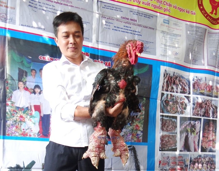 Theo định hướng đến năm 2025, g&agrave; Đ&ocirc;ng Tảo sẽ l&agrave; một trong những sản phẩm được ti&ecirc;u chuẩn h&oacute;a trở th&agrave;nh sản phẩm xếp hạng 5 sao trong chương tr&igrave;nh OCOP của tỉnh Hưng Y&ecirc;n.