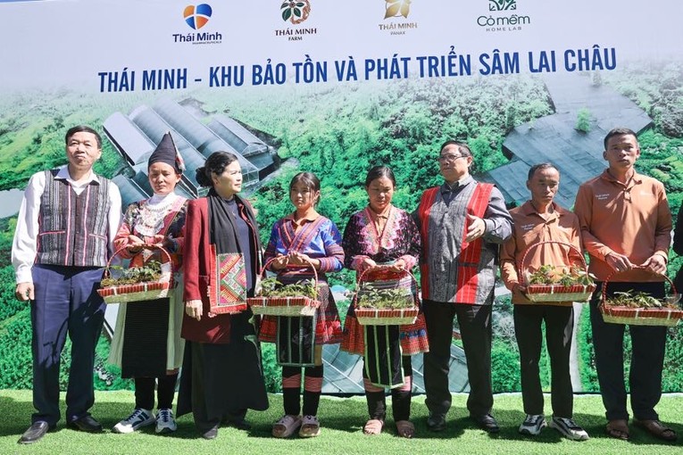 Phiên bản chính thức của 555Win Phạm Minh Ch&iacute;nh tặng c&acirc;y s&acirc;m giống cho một số hộ d&acirc;n tại x&atilde; S&agrave; Dề Ph&igrave;n. Ảnh: VGP