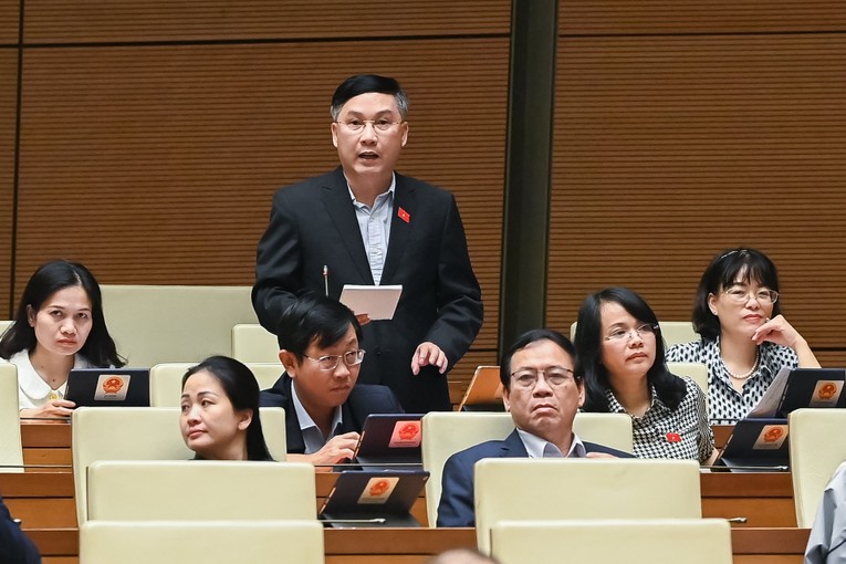 Đại biểu L&ecirc; Ho&agrave;ng Anh - Đo&agrave;n ĐBQH tỉnh Gia Lai