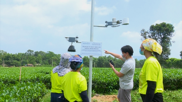 Cải tạo “cánh đồng hoang” chuyển đổi số 555win Mobi Việt Nam