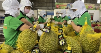 Hiện tượng ùn ứ nông sản tại biên giới được dự báo vẫn có thể tái diễn